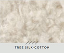 Tree-Silk Cotton